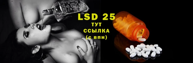 дмт Аркадак