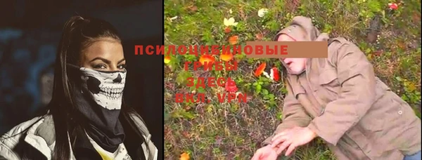 дмт Аркадак