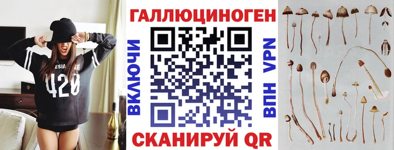 Псилоцибиновые грибы Magic Shrooms  omg tor  Чердынь  купить  